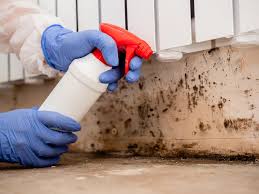 Best Crawl Space Mold Remediation  in Archer Lodge, NC